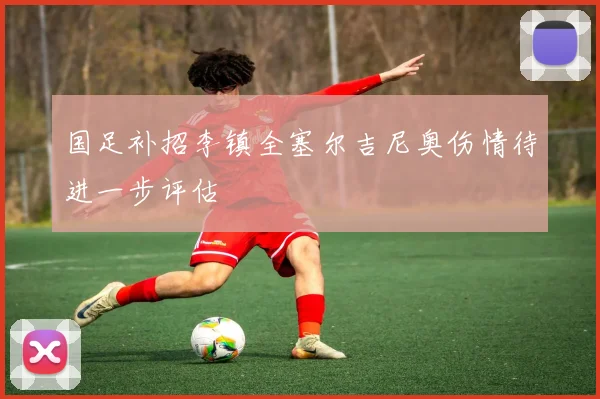 国足补招李镇全塞尔吉尼奥伤情待进一步评估