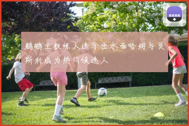 鹈鹕主教练人选浮出水面哈姆与莫斯利成为热门候选人